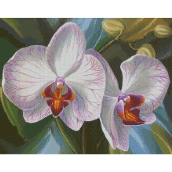 Amishop Высокое Качество хит продаж классический прекрасный набор для вышивания крестиком орхидея ирис элегантный цветок цветы Изображение